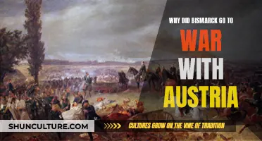 Bismarck's War with Austria: Quest for Unification