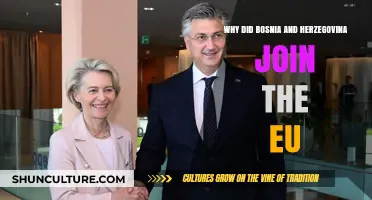 Bosnia and Herzegovina's EU Accession: Motivations and Strategic Benefits