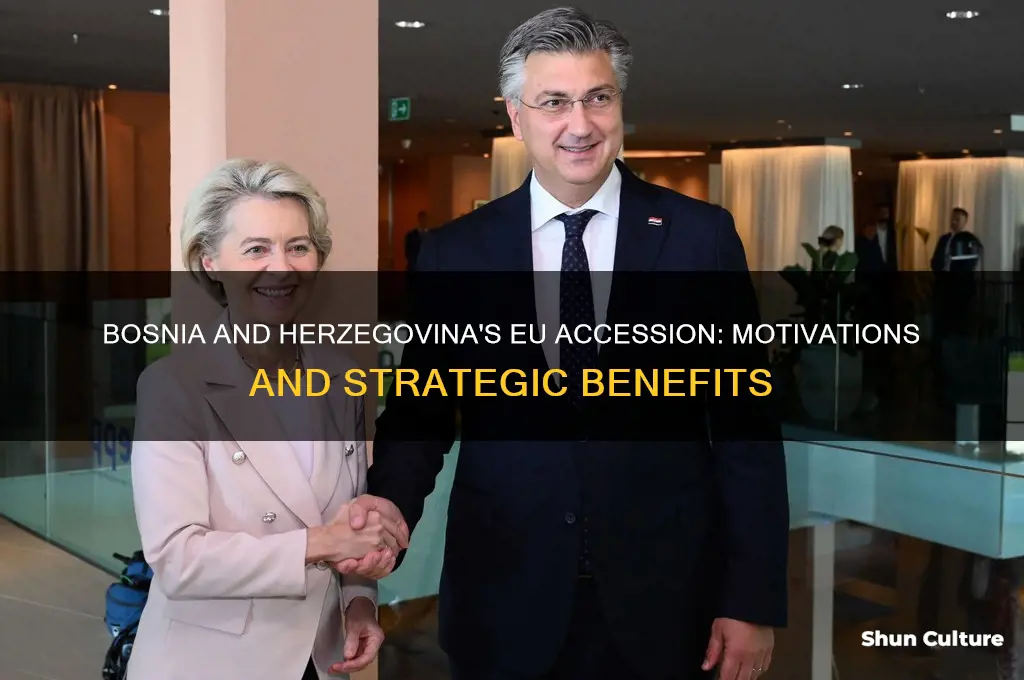 why did bosnia and herzegovina join the eu