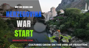 The Spark of Conflict: Origins of Bosnia and Herzegovina's War