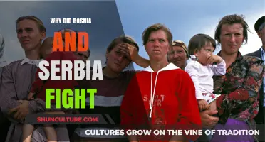 Bosnia and Serbia's Conflict: Unraveling the Historical Tensions and War