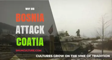 Why Bosnia Attacked Croatia: Unraveling the Complex Balkan Conflict