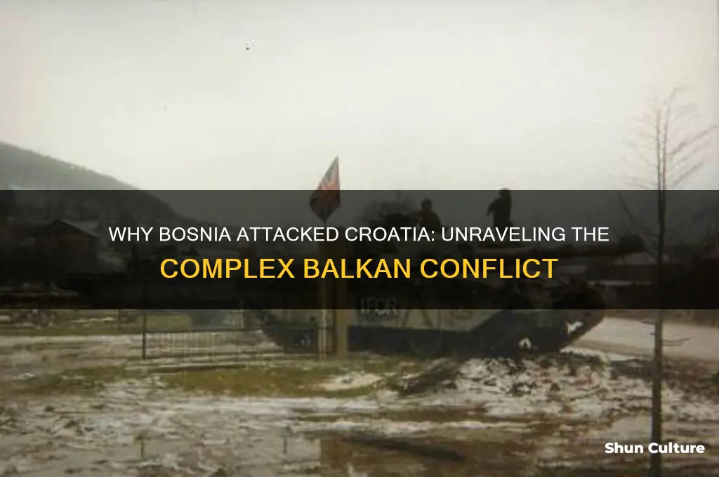 why did bosnia attack coatia
