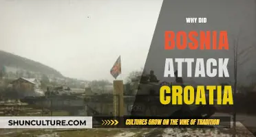 Bosnia's Assault on Croatia: Unraveling the Complex Historical Conflict