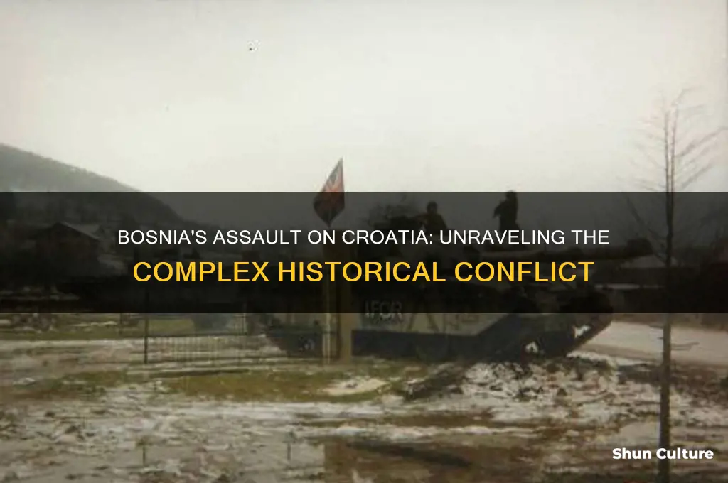 why did bosnia attack croatia