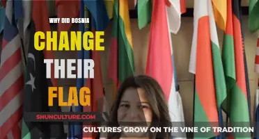 Bosnia's Flag Transformation: Unraveling the Reasons Behind the Change