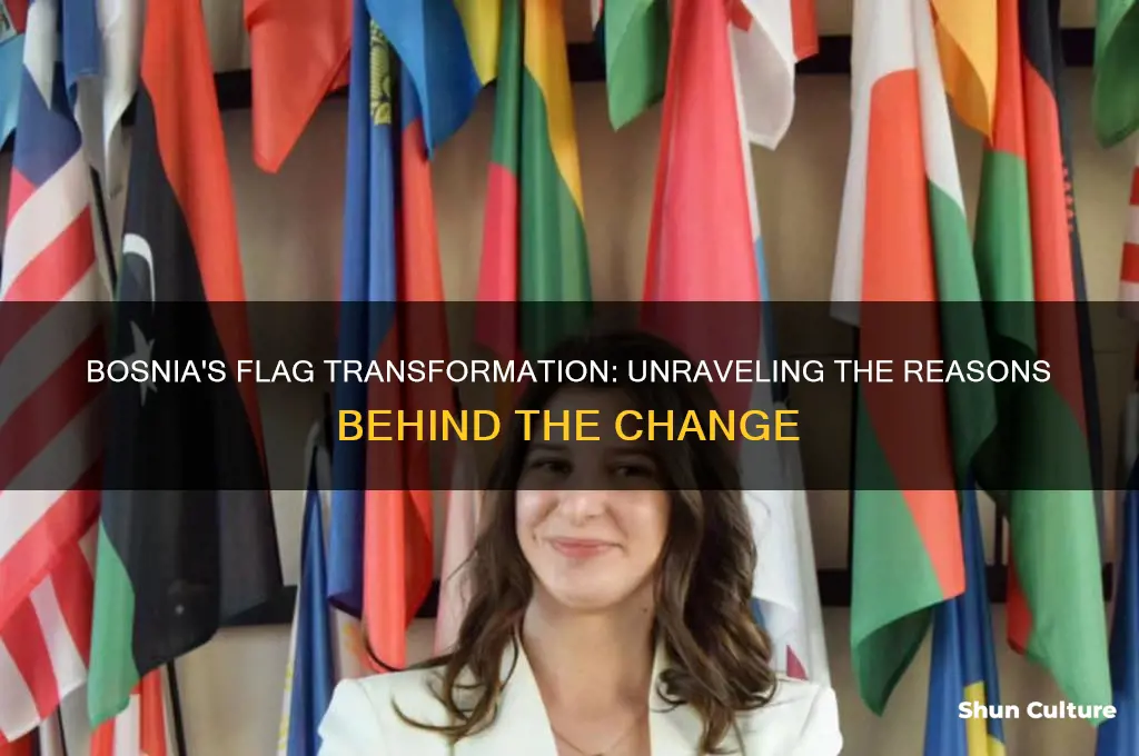 why did bosnia change their flag
