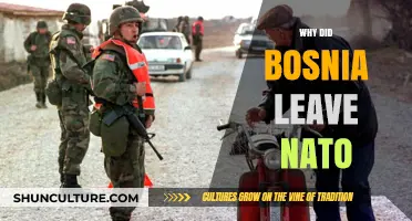 Bosnia's NATO Exit: Unraveling the Reasons Behind the Decision