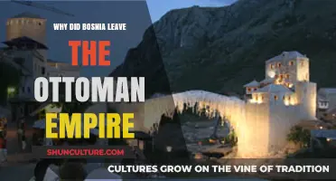 Bosnia's Break from the Ottoman Empire: Causes and Consequences