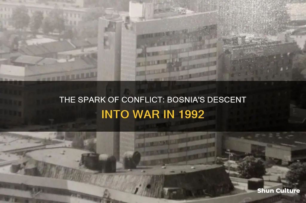 why did bosnia start war 92