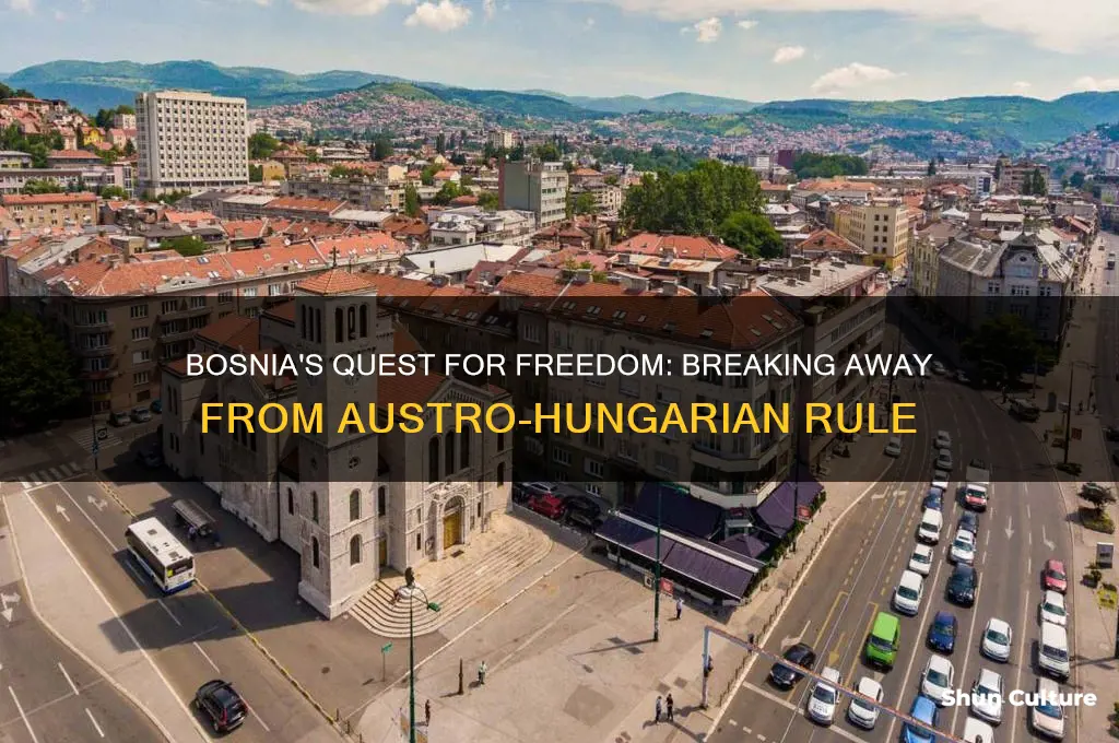 why did bosnia want freedom from austrai hungary