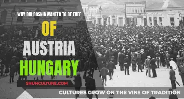 Bosnia's Freedom: Breaking Free from Austria-Hungary's Rule