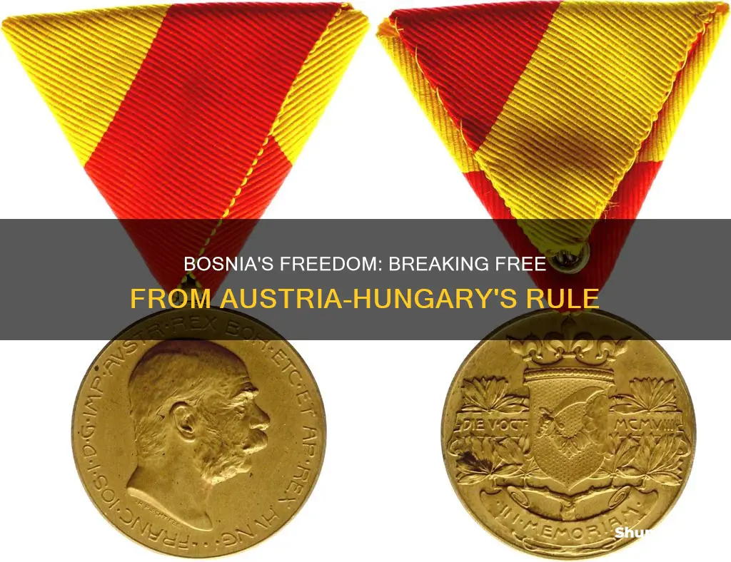 why did bosnia wanted to be free of austria hungary