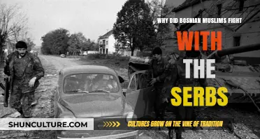 Bosnian Muslims vs. Serbs: Unraveling the Causes of the Conflict