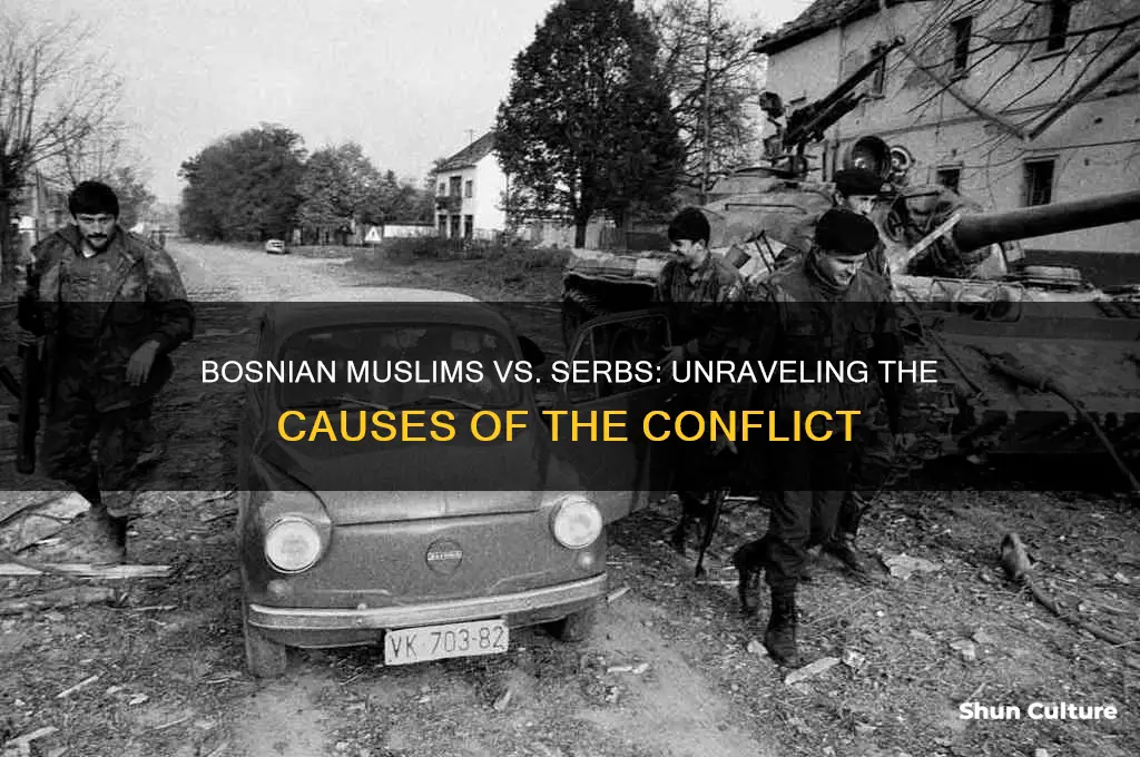 why did bosnian muslims fight with the serbs