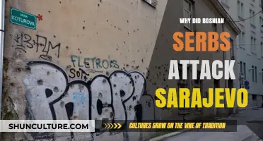 Why Bosnian Serbs Attacked Sarajevo: Unraveling the Siege's Complex Origins