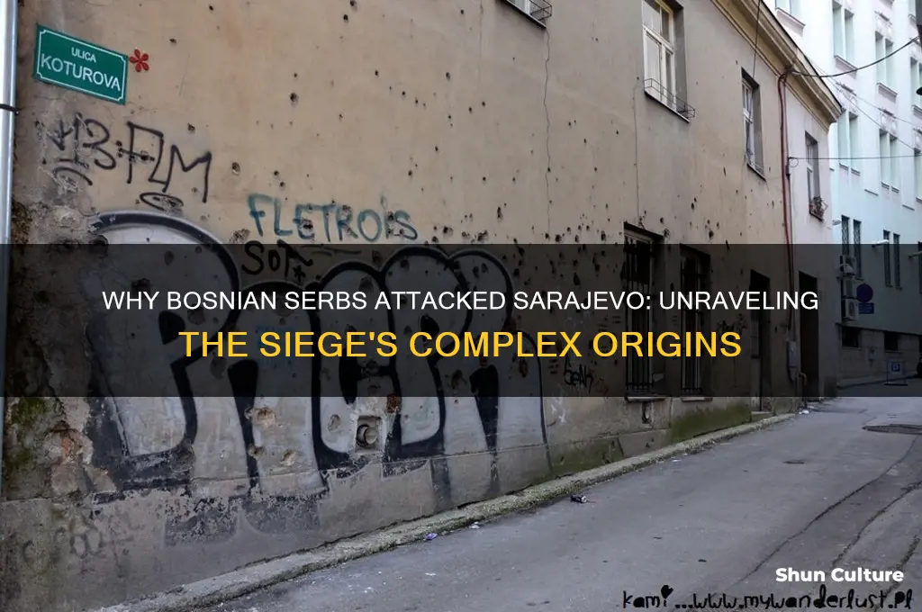 why did bosnian serbs attack sarajevo