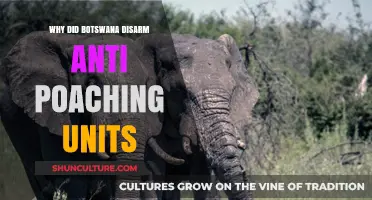 Botswana's Controversial Decision: Disarming Anti-Poaching Units Explained