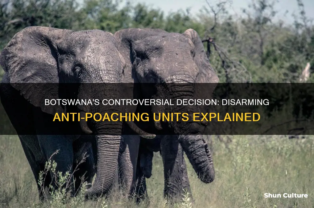 why did botswana disarm anti poaching units
