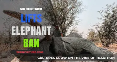 Botswana Lifts Elephant Hunting Ban: Reasons and Implications Explored