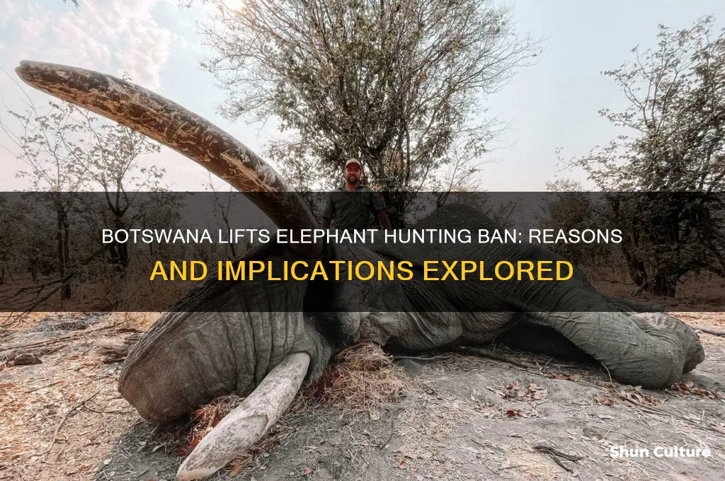 why did botswana lifts elephant ban