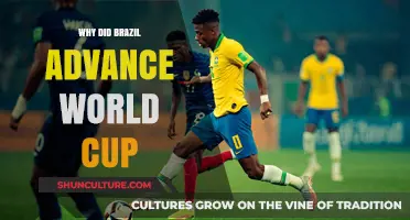 Brazil's World Cup Success: Tactics, Talent, and Teamwork Explained