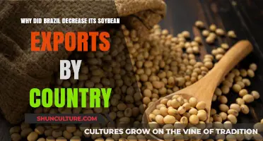 Brazil's Soybean Export Decline: Analyzing Country-Specific Trade Shifts