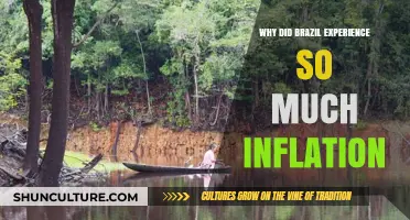 Brazil's Inflation Crisis: Causes and Economic Consequences Explained