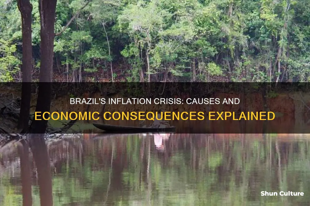 why did brazil experience so much inflation