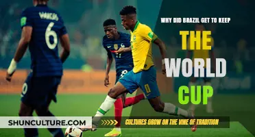 Brazil's World Cup Legacy: Why the Trophy Stayed Home