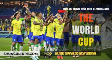 Brazil's Mega Sporting Events: Hosting Olympics and World Cup Back-to-Back
