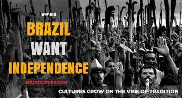 Brazil's Quest for Freedom: Unraveling the Drive for Independence