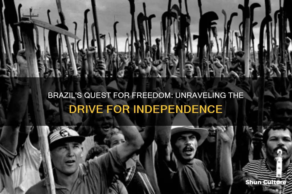 why did brazil want independence