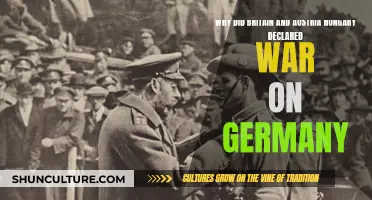 The Spark of War: Britain, Austria-Hungary, and Germany's Descent into Conflict