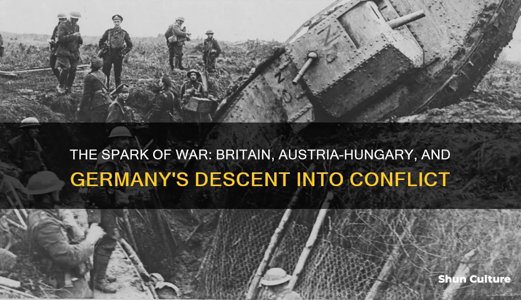 why did britain and austria hungary declared war on germany