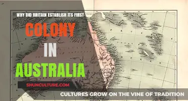 Britain's First Australian Colony: Motives and Historical Context Explained