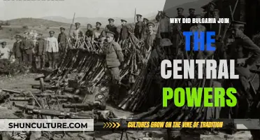 Bulgaria's Alliance: Unraveling the Reasons Behind Joining the Central Powers