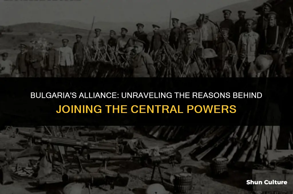 why did bulgaria join the central powers
