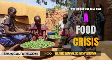 Unraveling the Roots of Burkina Faso's Food Crisis
