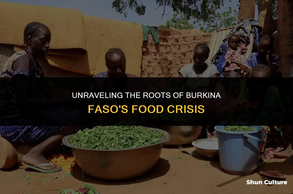 why did burkina faso have a food crisis
