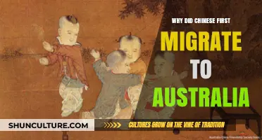 Exploring the Reasons Behind Early Chinese Migration to Australia