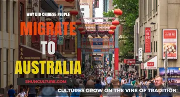 Chinese Migration to Australia: Reasons and History