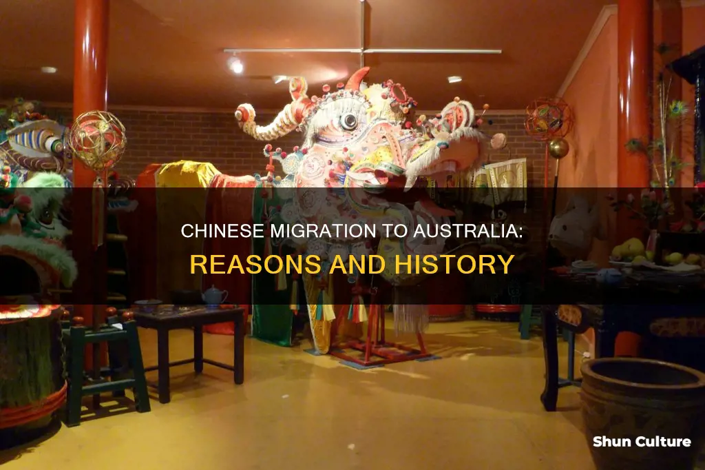 why did chinese people migrate to australia