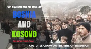 Clinton's Decision: Deploying U.S. Troops to Bosnia and Kosovo Explained