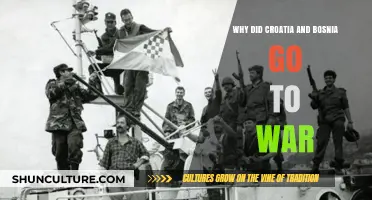 Croatia-Bosnia Conflict: Unraveling the Causes of the Devastating War