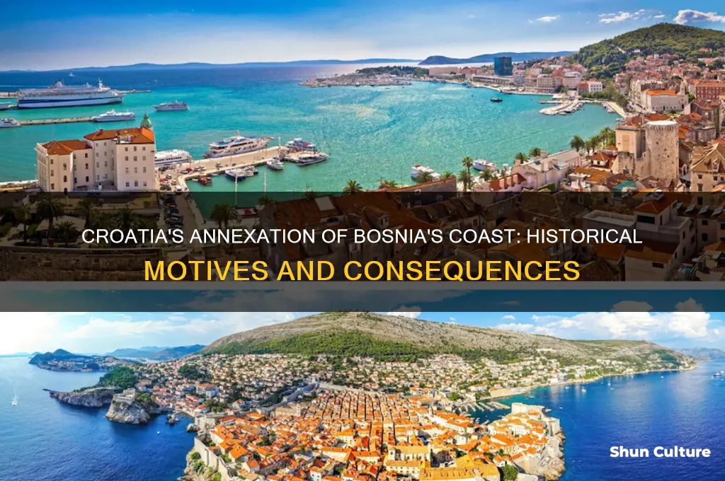 why did croatia take bosnia coast