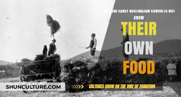 How Convicts Survived Without Farming in Australia