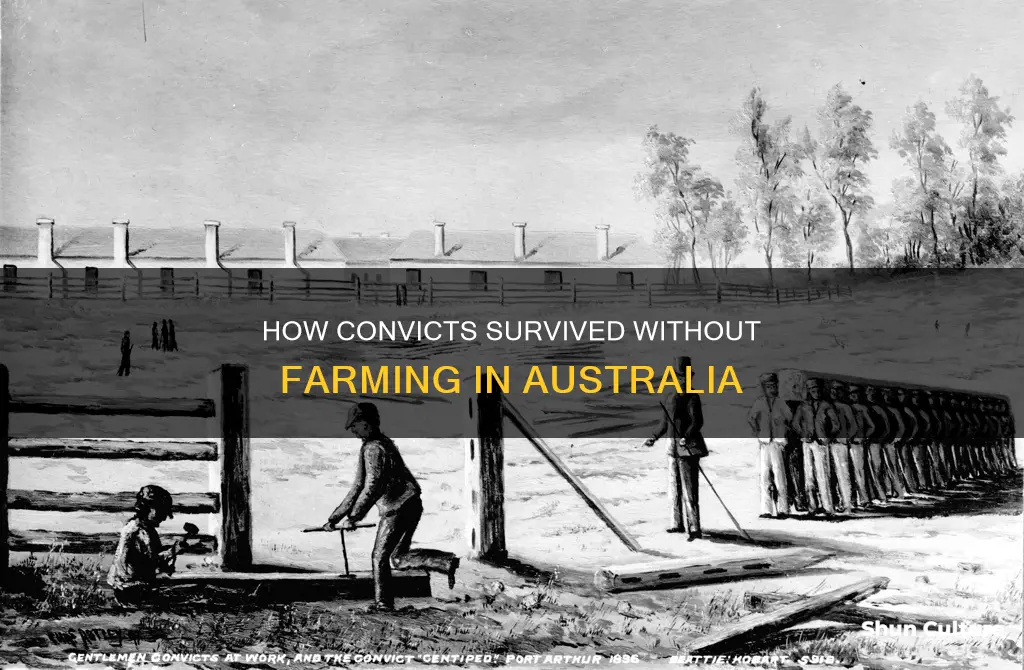why did early australian convicts not grow their own food