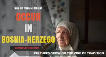The Roots of Ethnic Cleansing in Bosnia-Herzegovina: A Historical Analysis