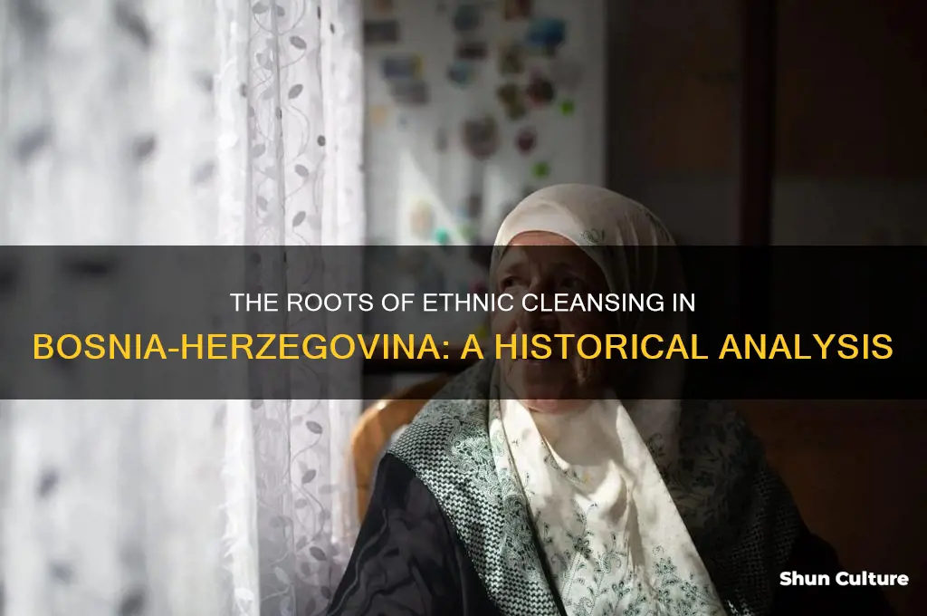 why did ethnic cleansing occur in bosnia-herzegovina